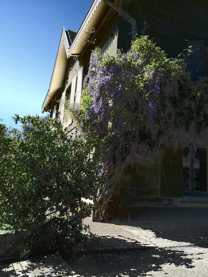 Bed and Breakfast Domaine De Monein Saint-André-de-Cubzac Zewnętrze zdjęcie